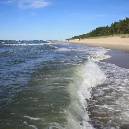 Letniskowe Gnieznienska Деревянный коттедж *